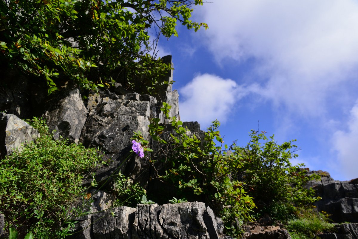 DSC_5941-001.JPG