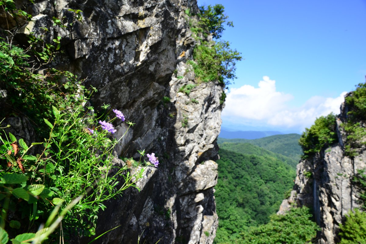 DSC_5921-001.JPG