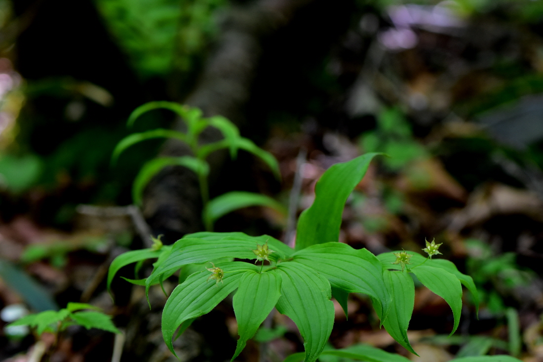 DSC_4158.JPG