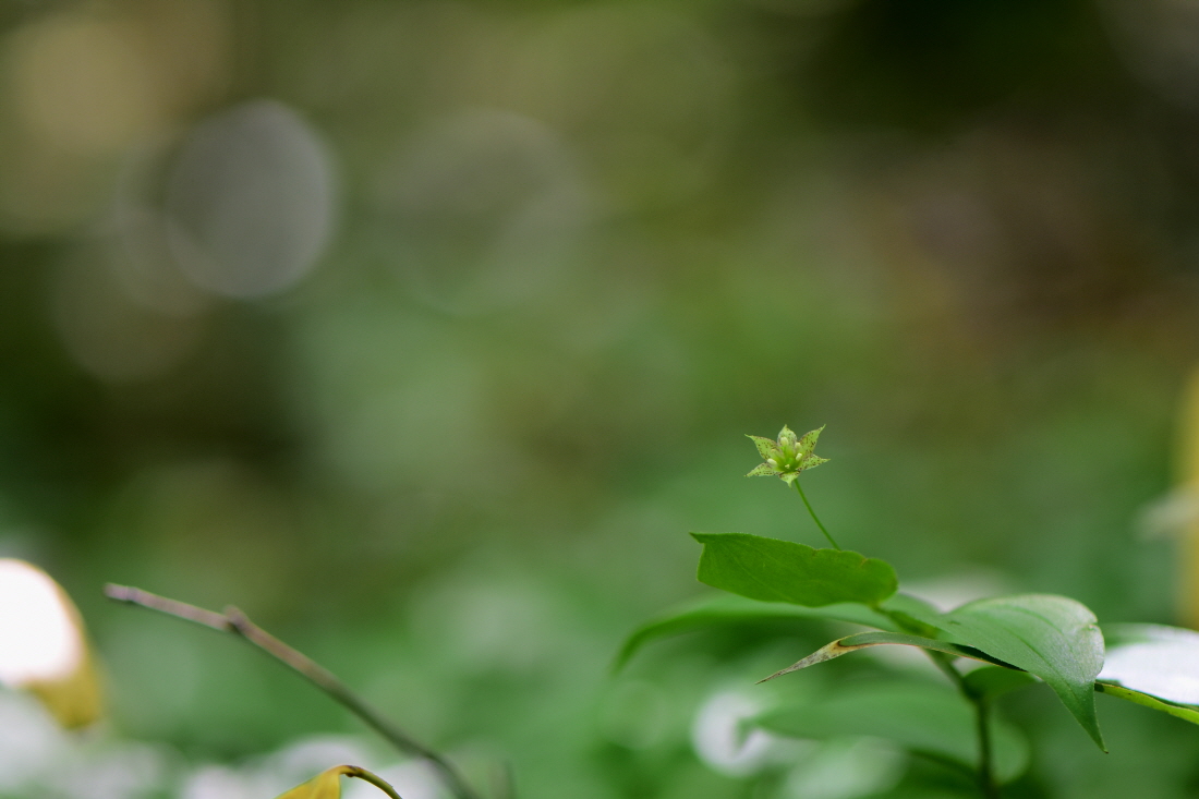 DSC_4152.JPG