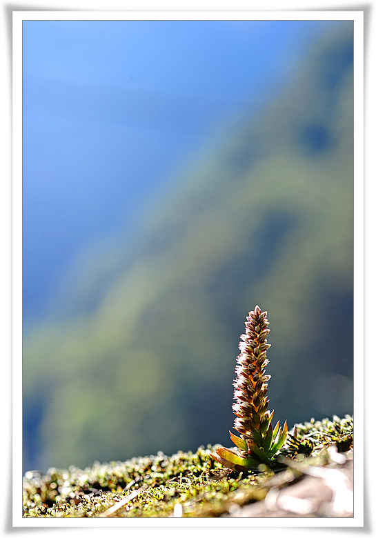 DSC_5541-1.jpg
