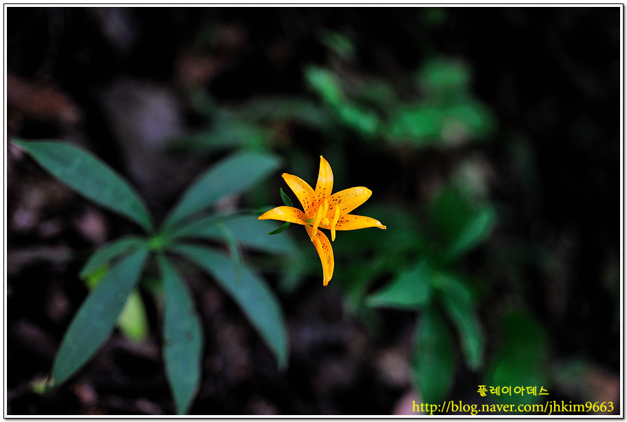 DSC_3041.jpg