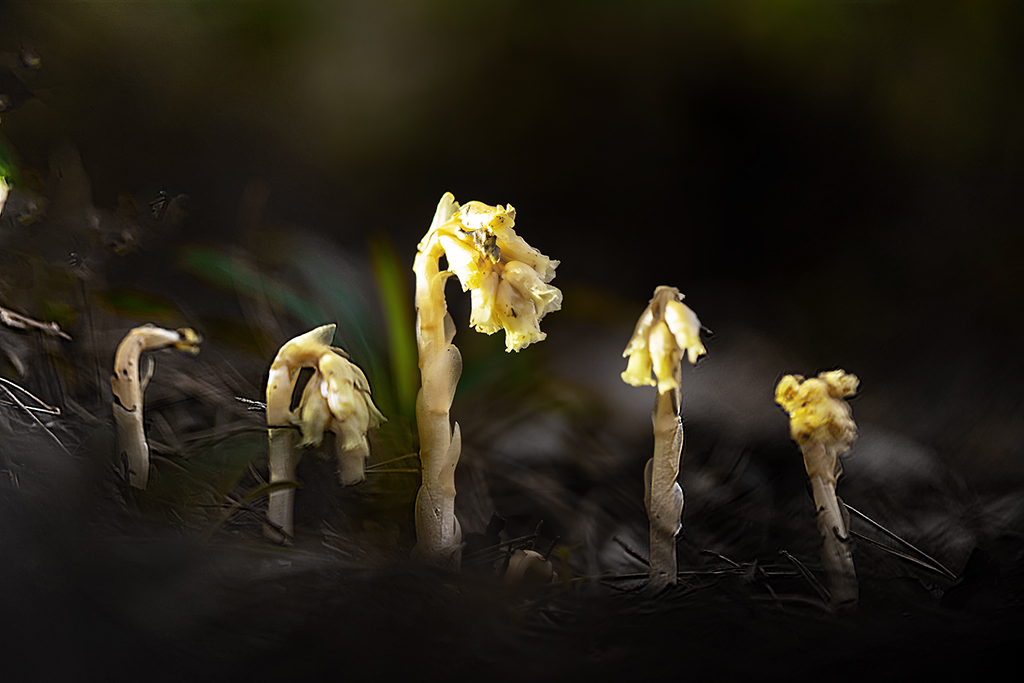 5A7A0713.psd-1.jpg