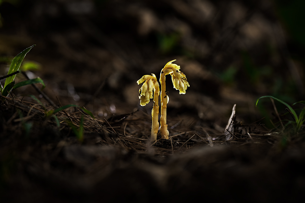 5A7A0759.psd-1.jpg