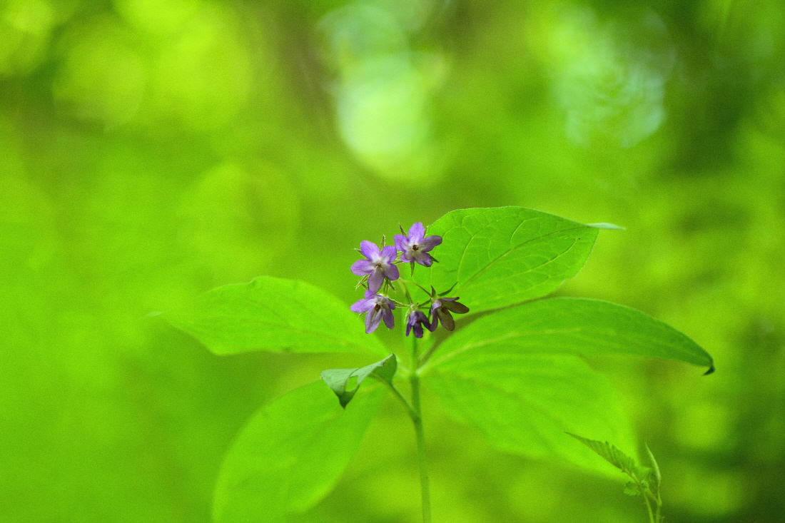 DSC_0570.JPG