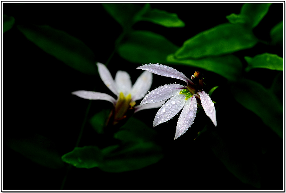20100715_3077.jpg