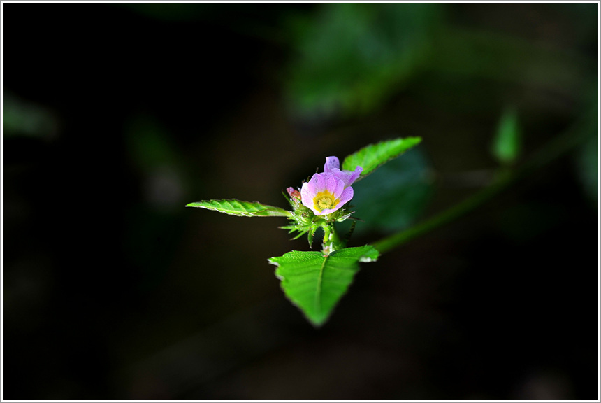 DSC_8334.jpg