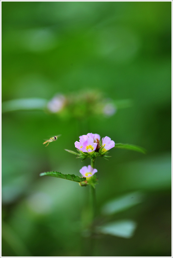 DSC_8373.jpg