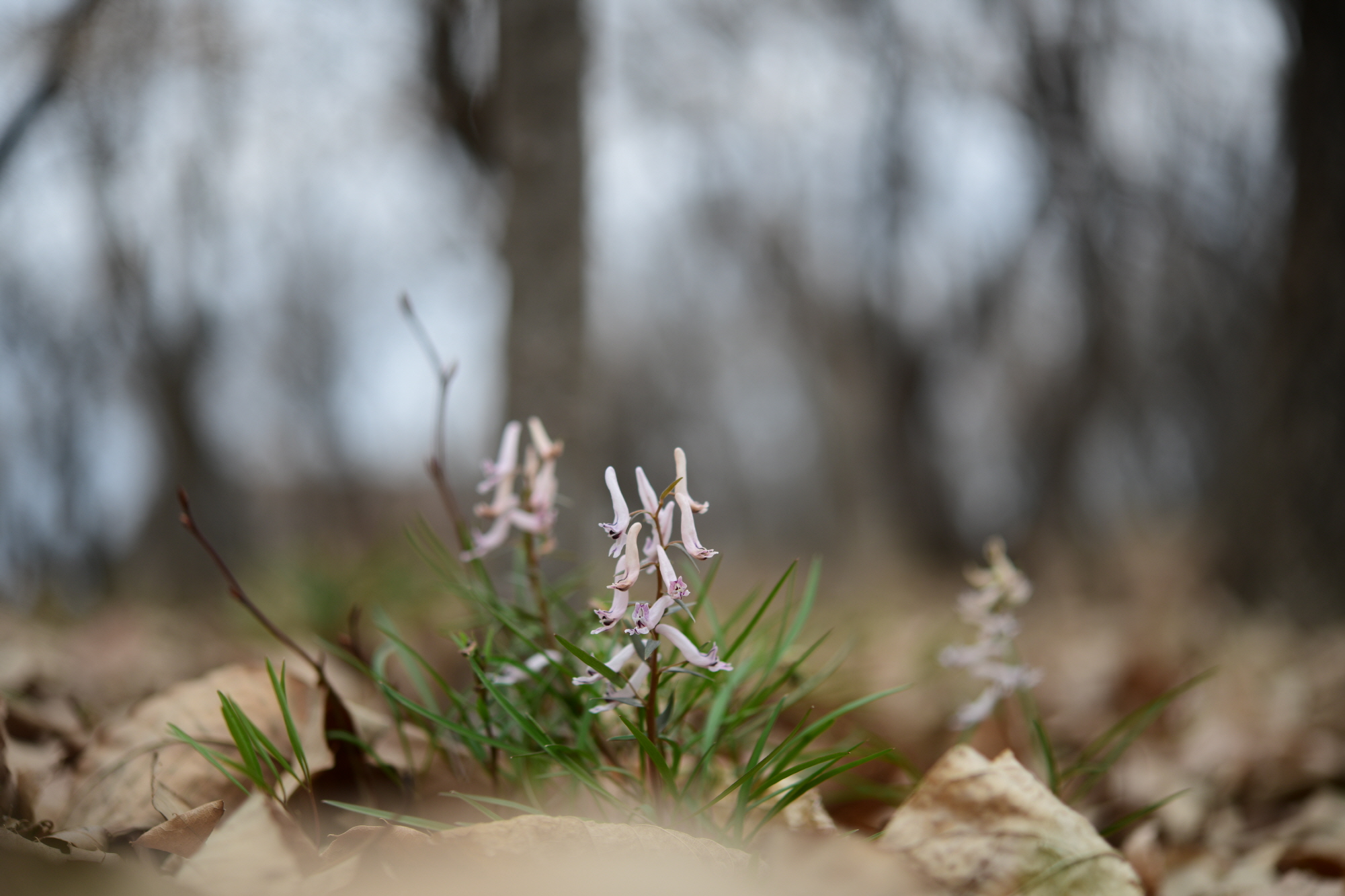 크기변환_DSC_9798.JPG