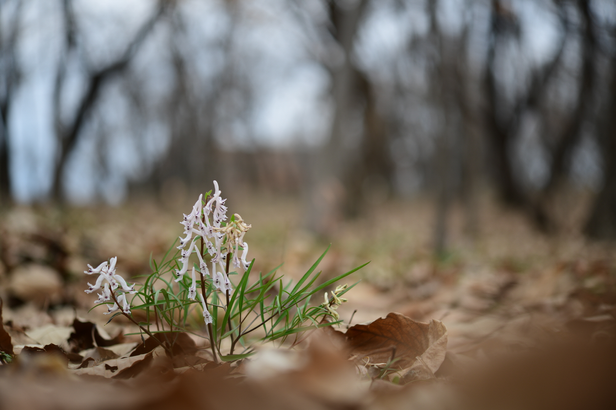 크기변환_DSC_9794.JPG