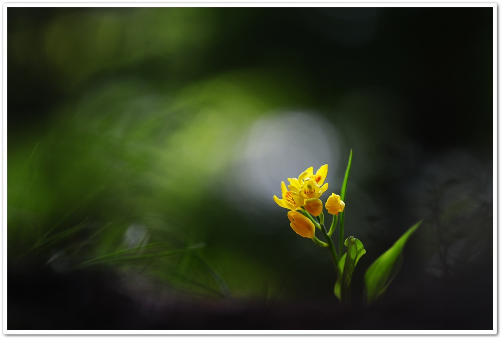 DSC_7780-1.jpg