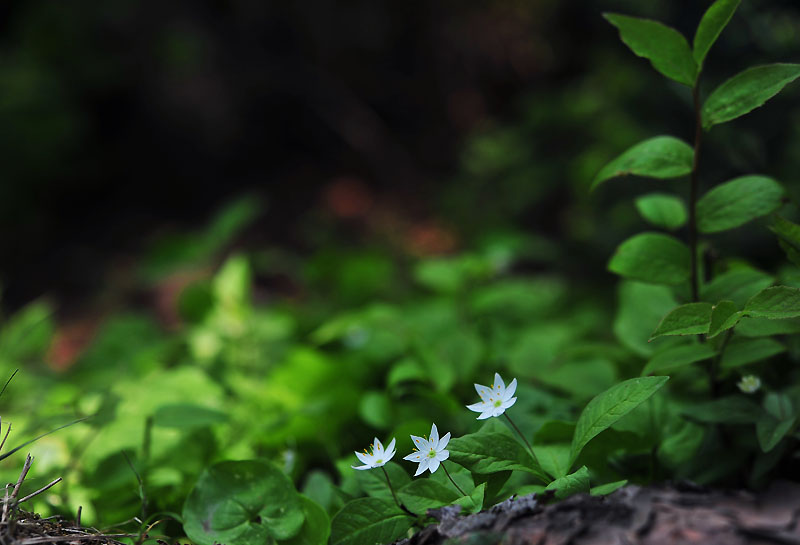 20120528_0198-1.jpg