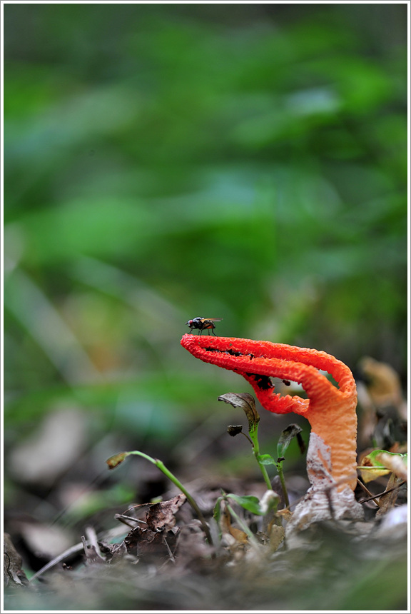 DSC_7763.jpg