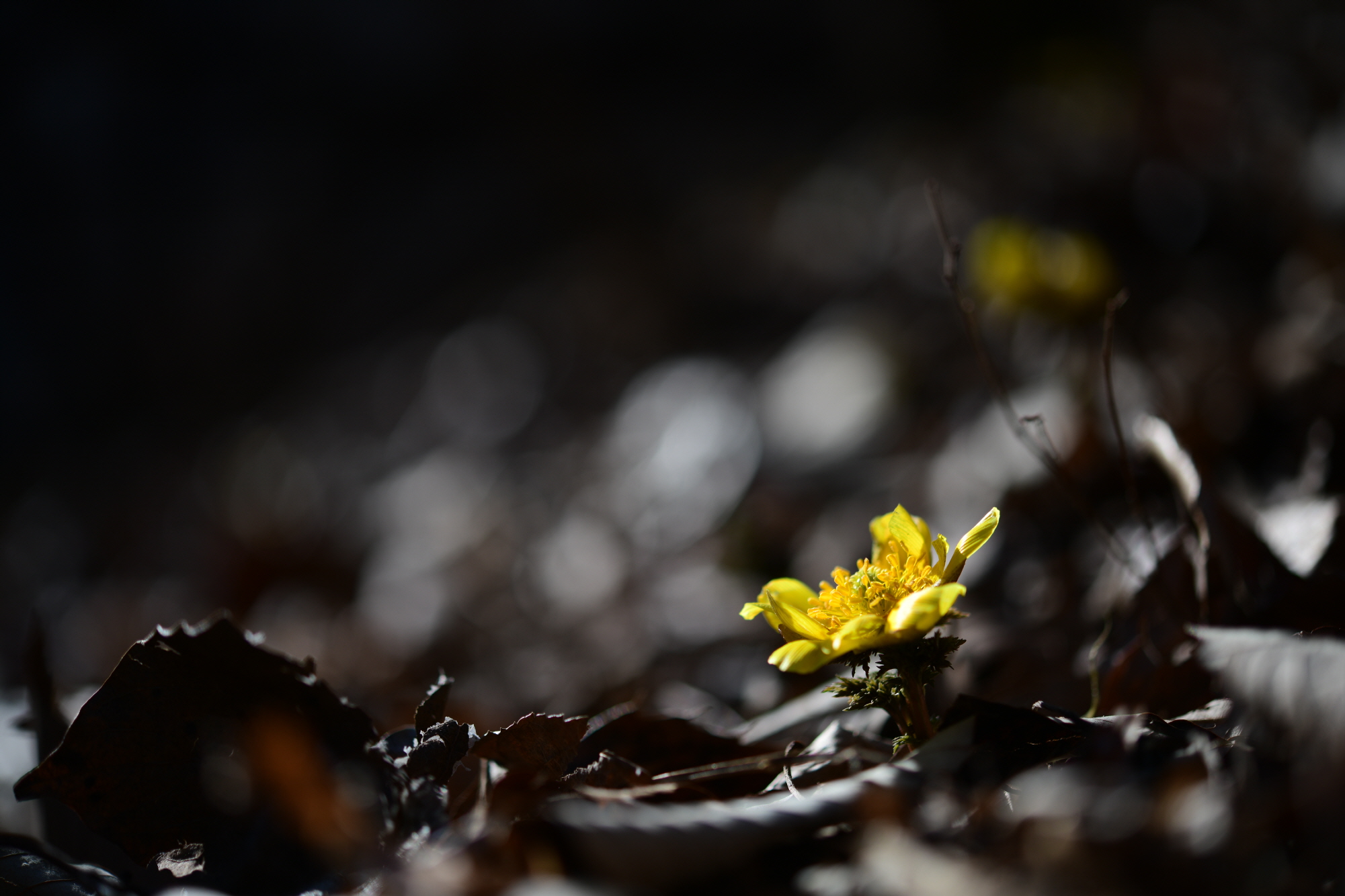 크기변환_DSC_4234.JPG