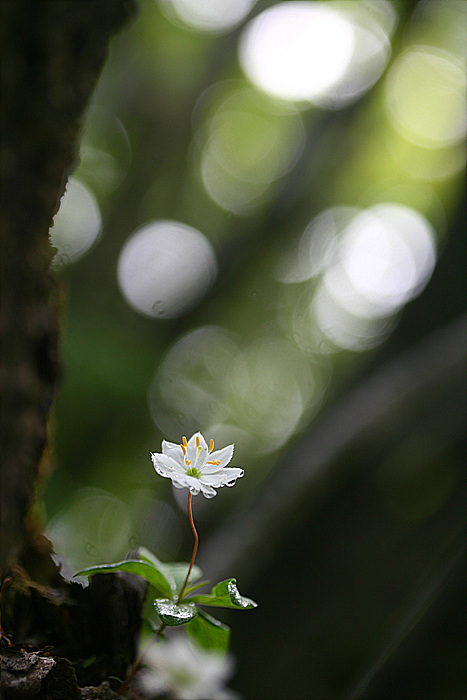 20090606 621.jpg