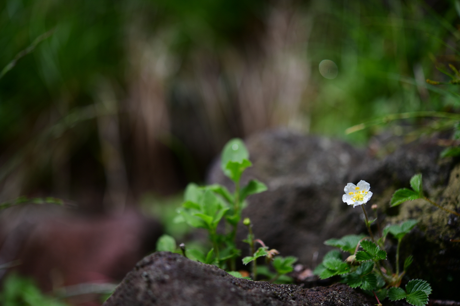 크기변환_DSC_9390.JPG