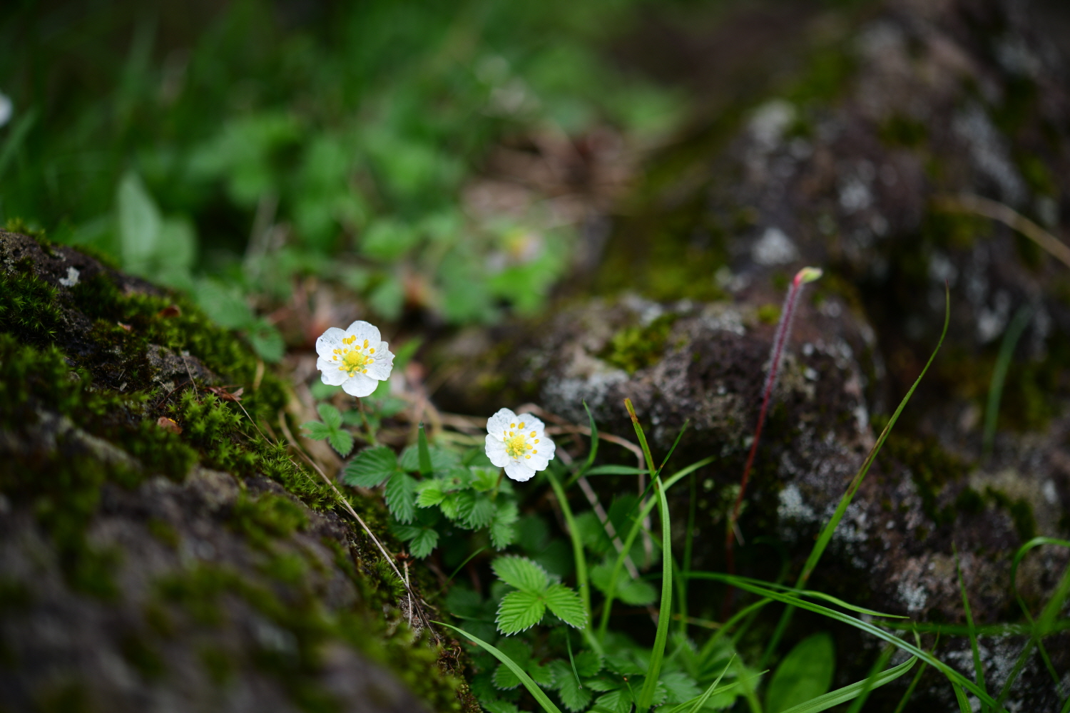 크기변환_DSC_9432.JPG