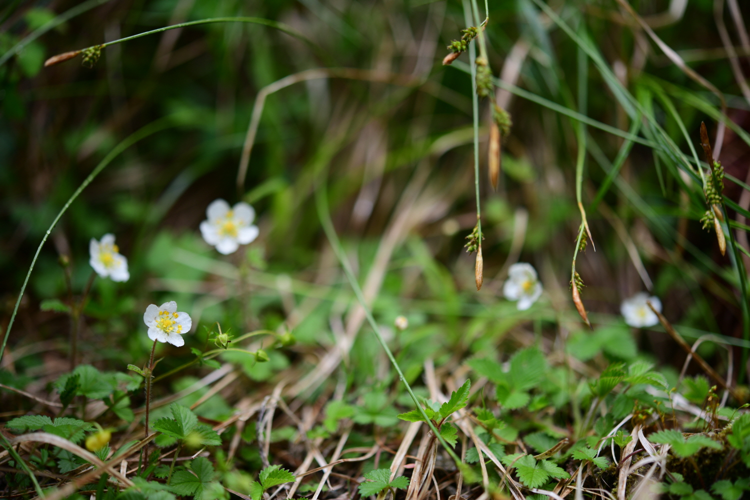 크기변환_DSC_9350.JPG