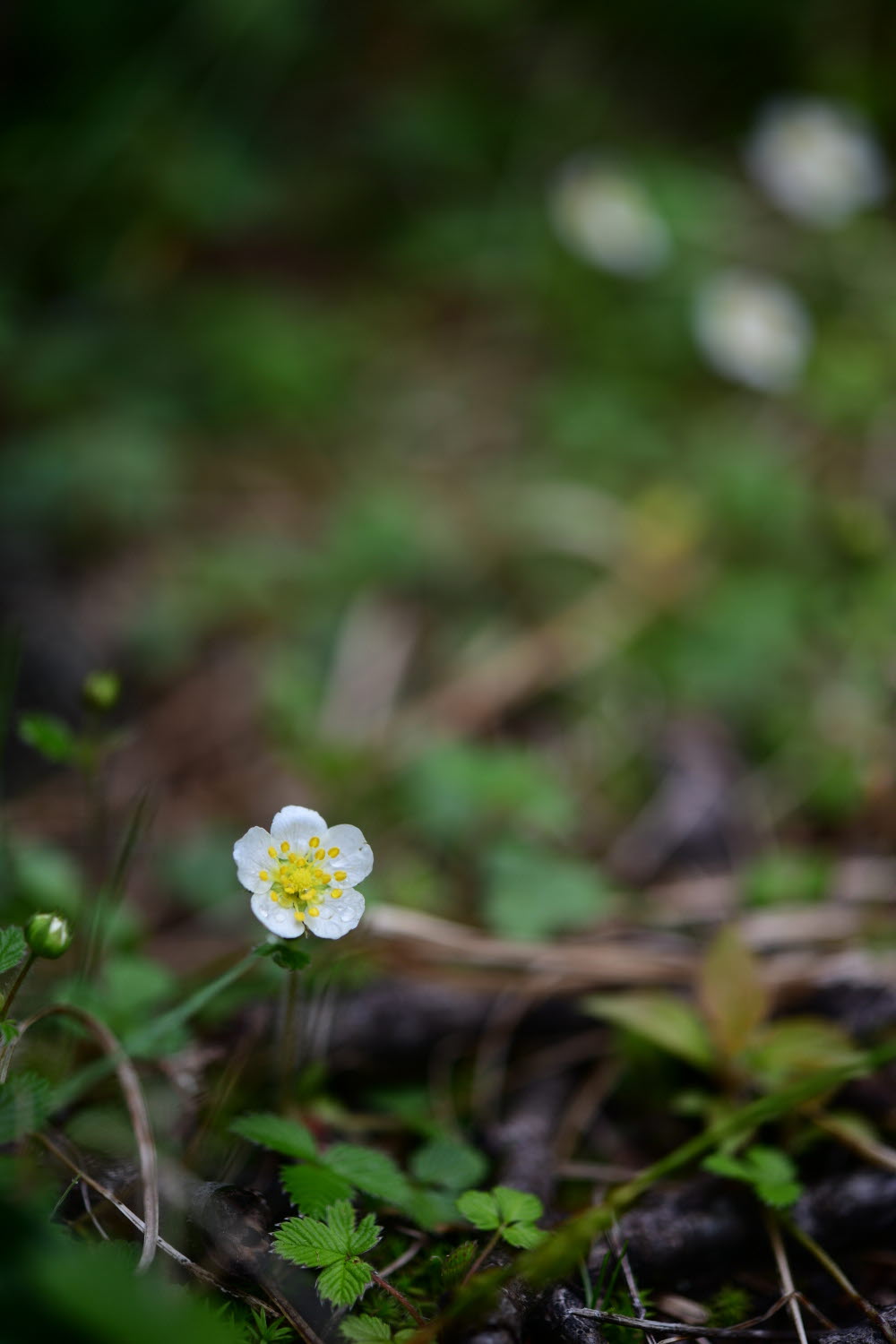 크기변환_DSC_9316.JPG