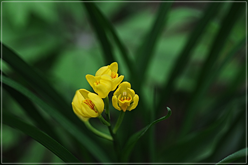 DSC_1958.JPG