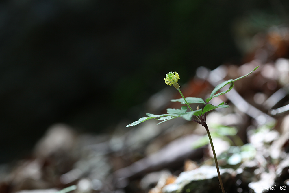 0505-5-1.jpg