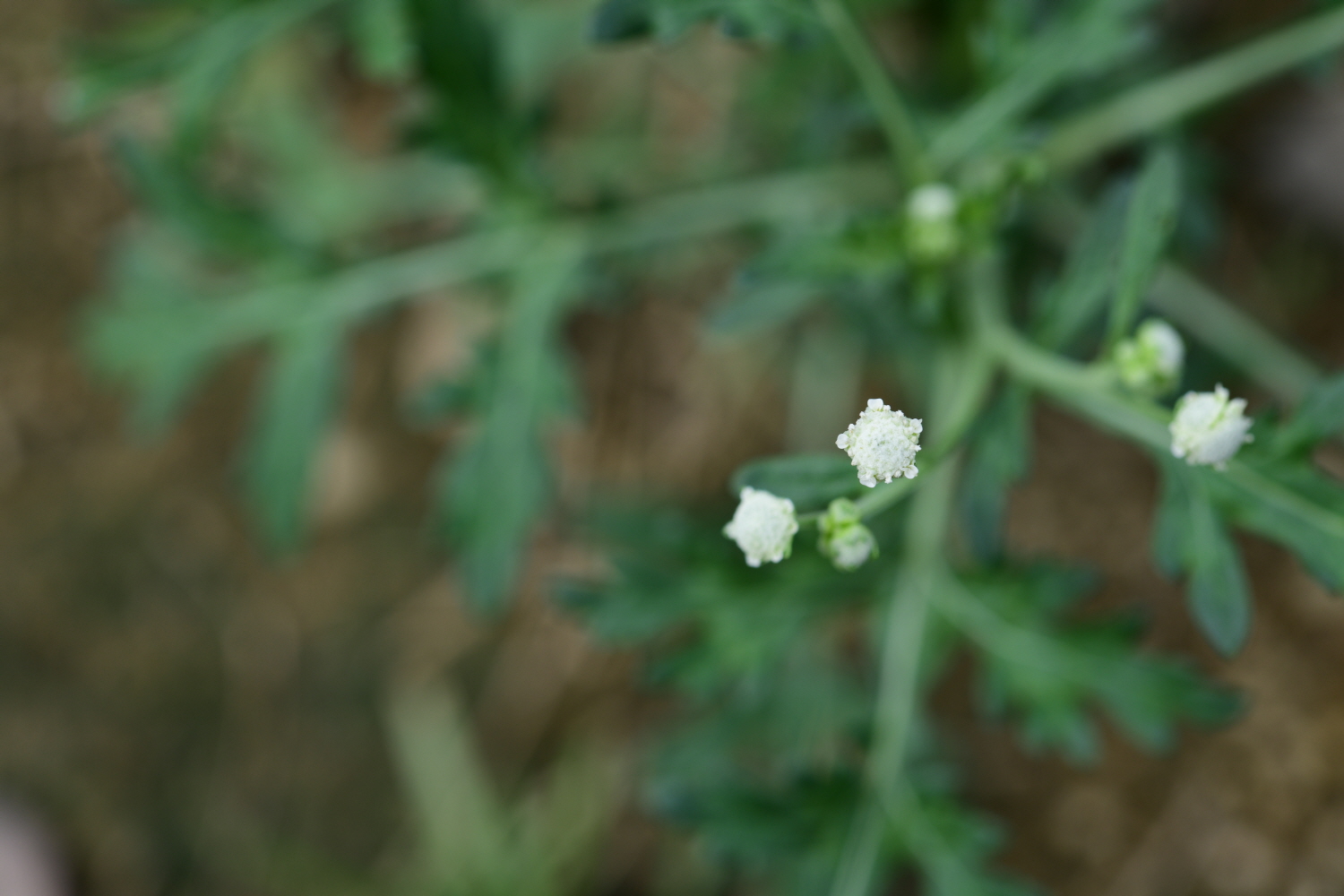 크기변환_DSC_2246.JPG