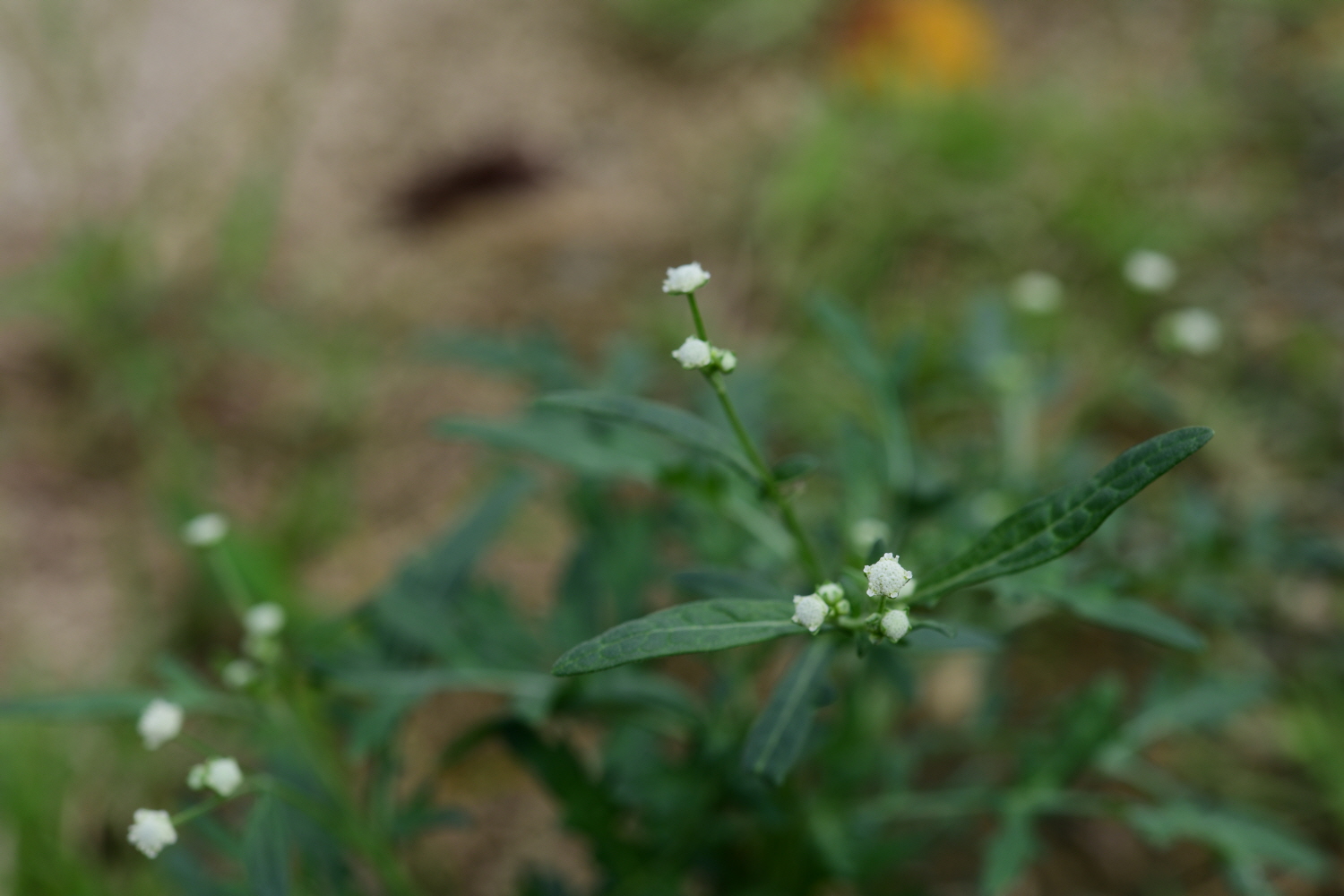 크기변환_DSC_2259.JPG