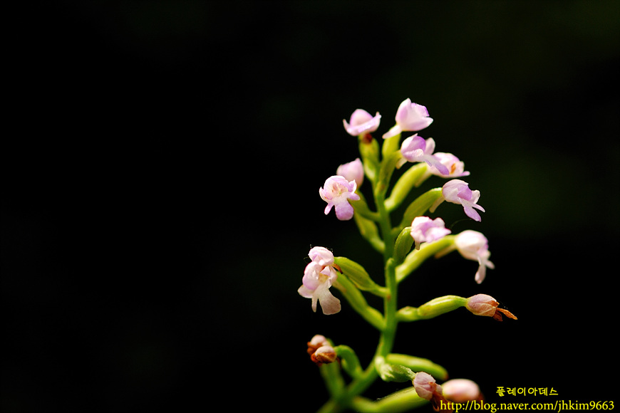 DSC_1084.jpg