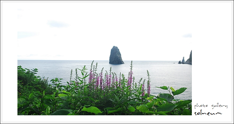 09-059 ulleungdo1 492ss.jpg