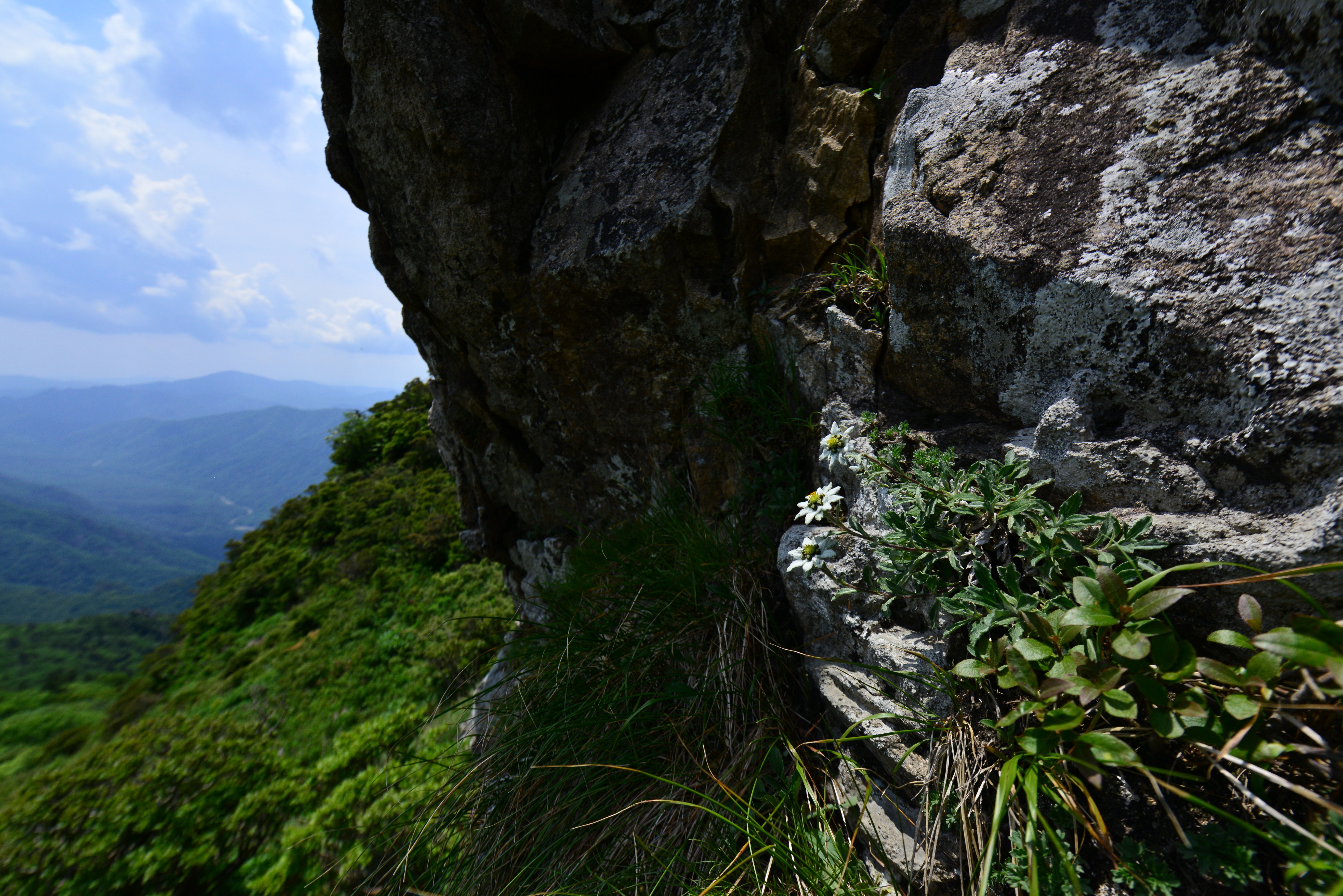 DSC_0729.JPG