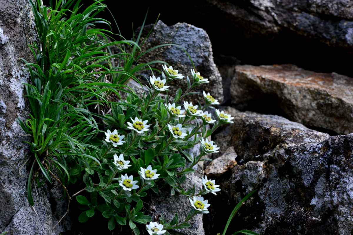 DSC_0715.JPG