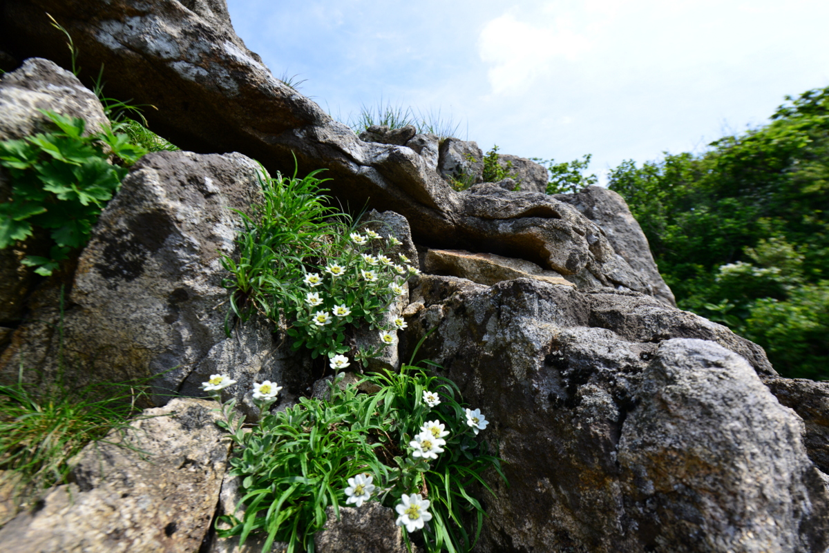 DSC_0719.JPG