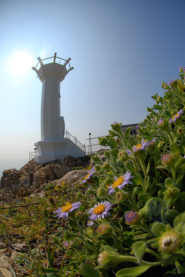 해국10.10.13 (12).jpg