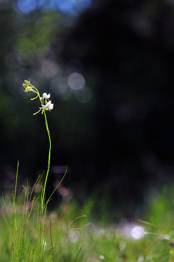 20120805_0131-1.jpg