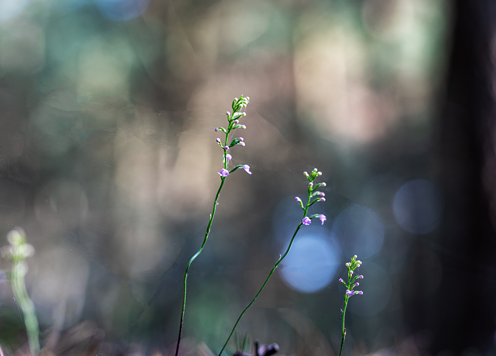 5A7A1384.psd-1.jpg