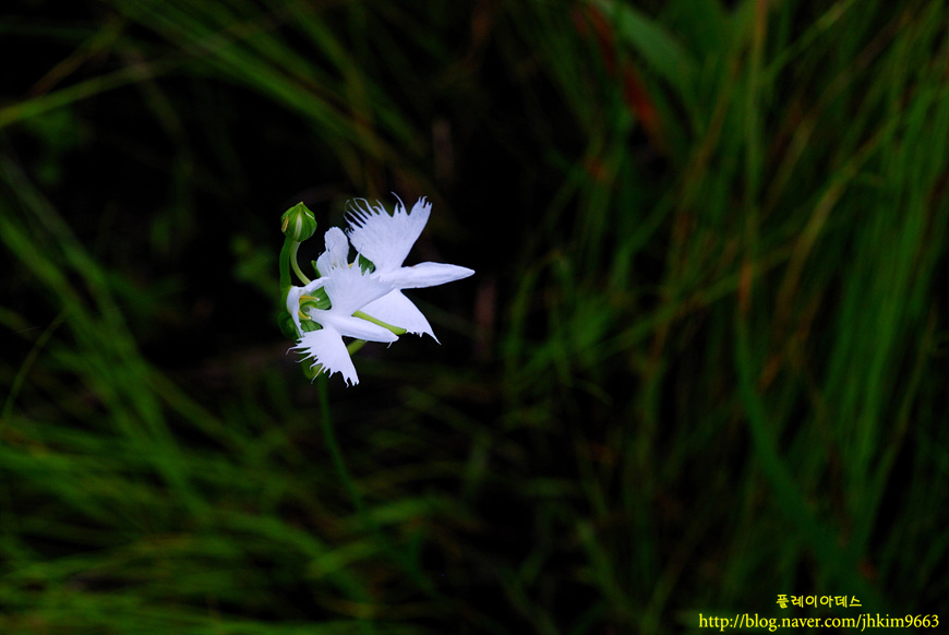 DSC_6358.jpg