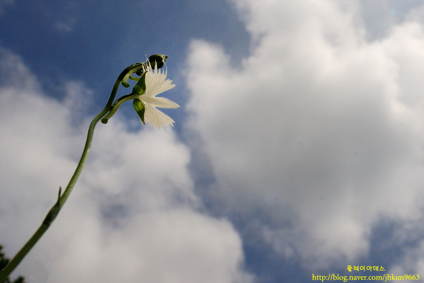DSC_6025-1.jpg