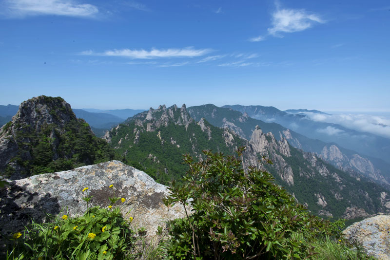 20130609_0071a-1.jpg