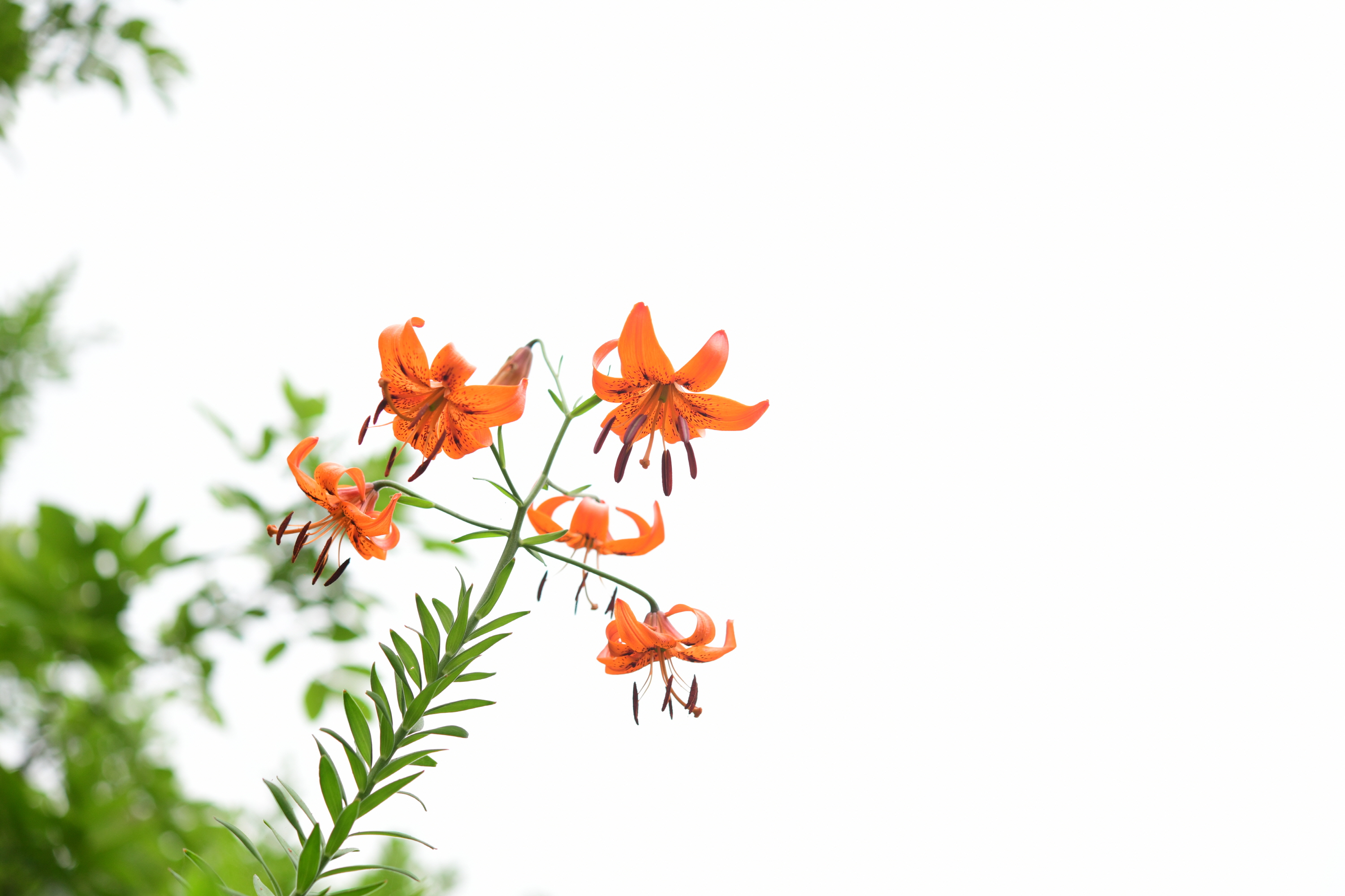 크기변환_DSC_1888.JPG