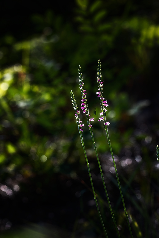5A7A1294.psd-1.jpg