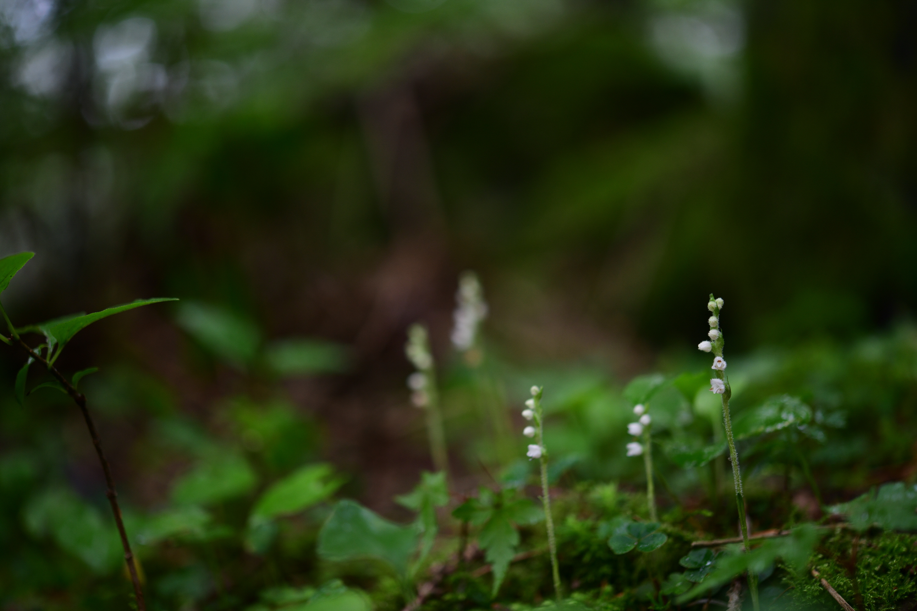 크기변환_DSC_2987.JPG