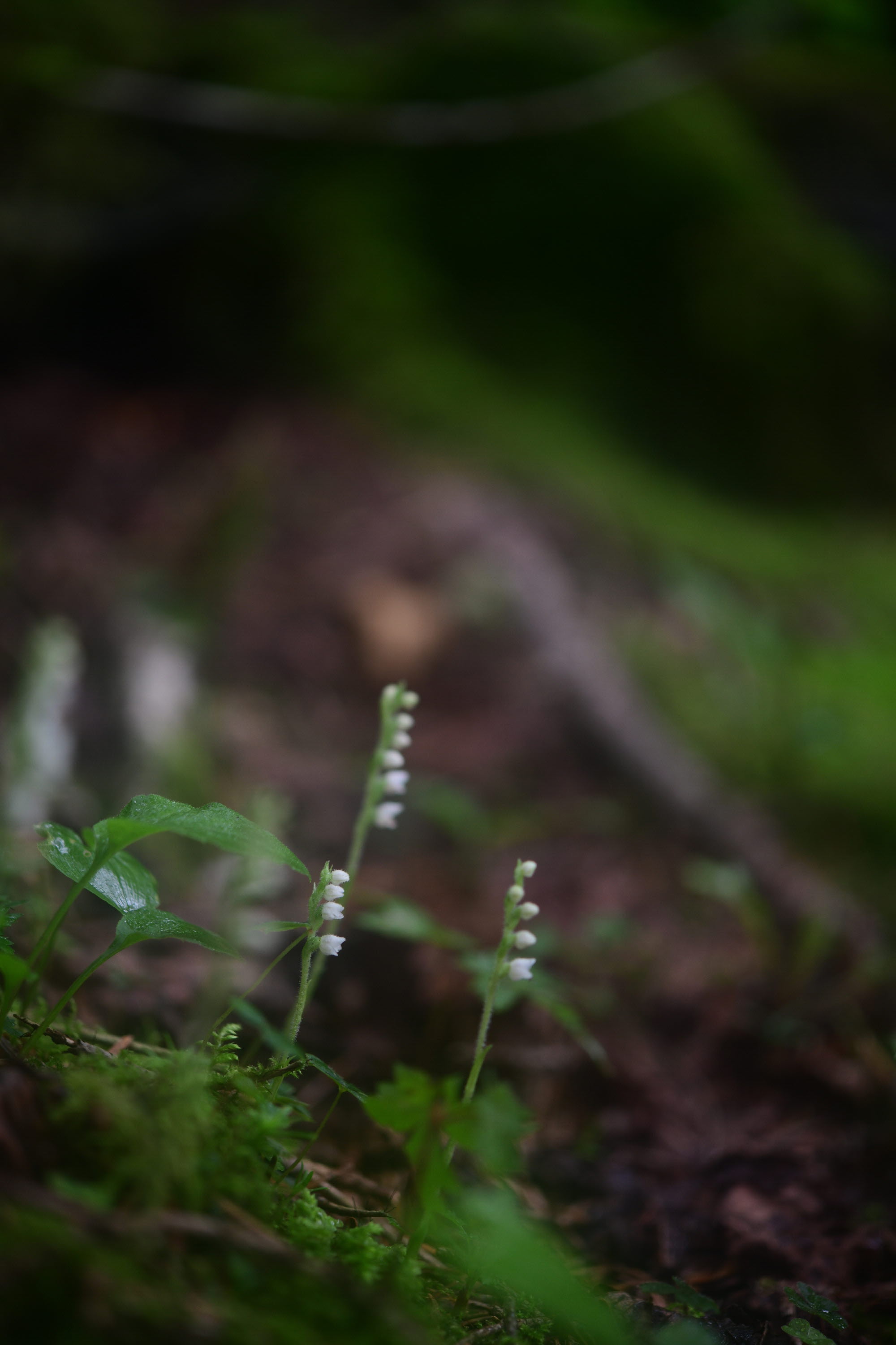 크기변환_DSC_3083.JPG