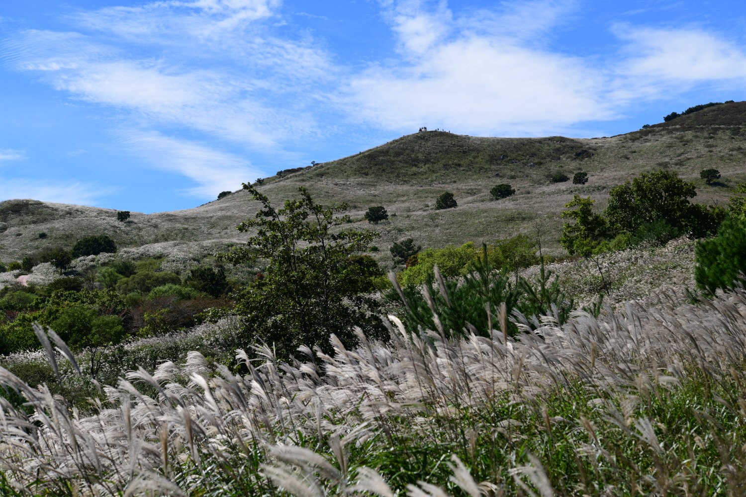 크기변환_DSC_7460.JPG