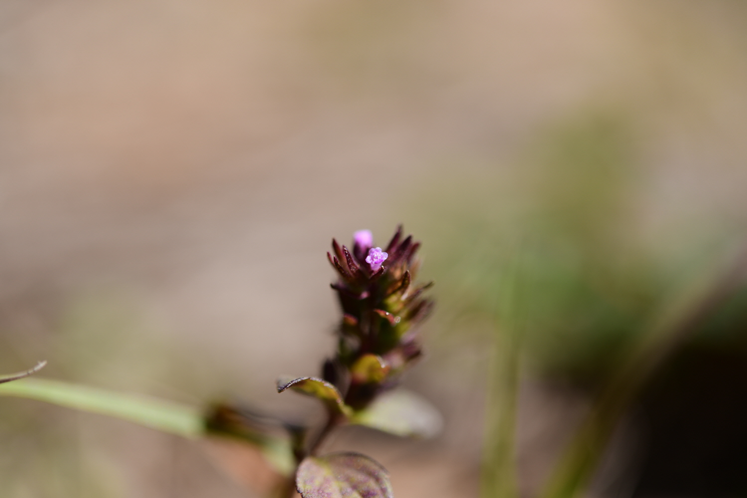 크기변환_DSC_7216.JPG