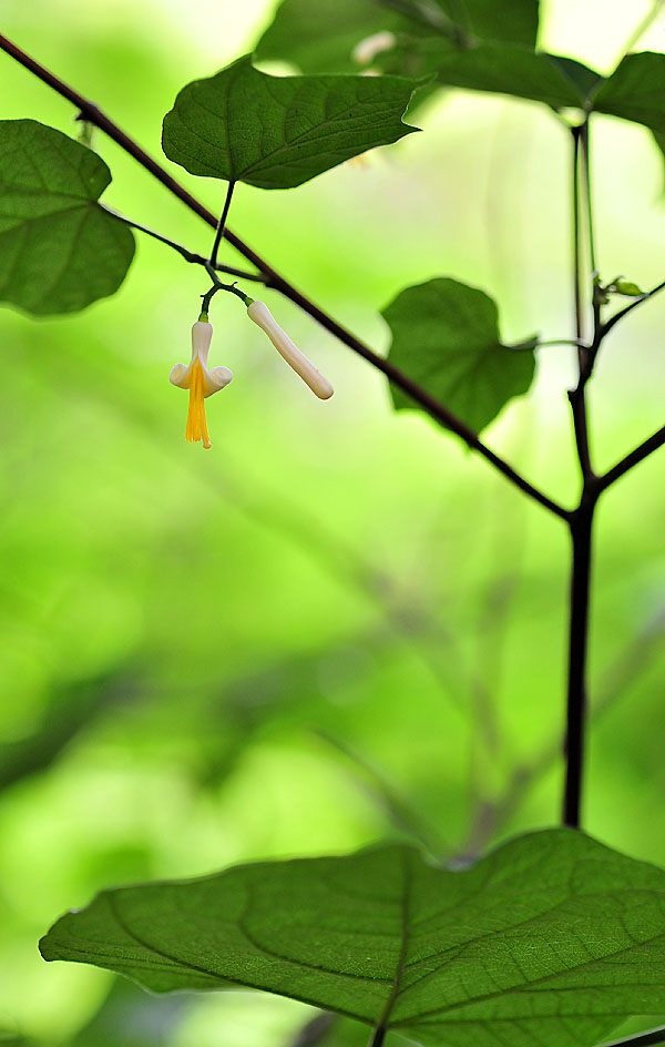 20120612_0074-1.jpg