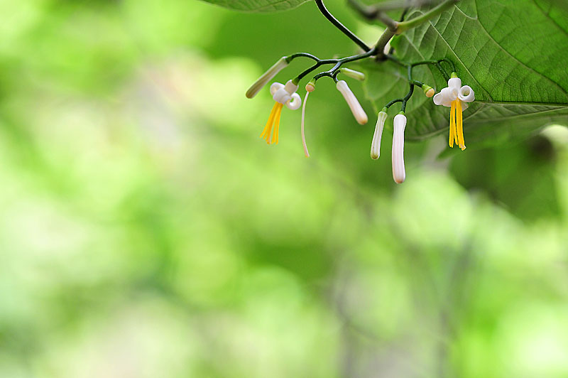 20120612_0081-1.jpg