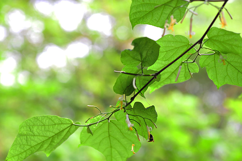 20120612_0058-1.jpg