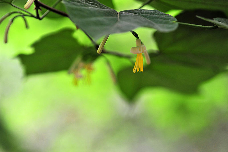 20120612_0008-1.jpg