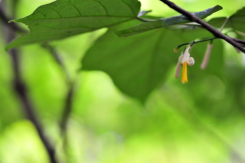 20120612_0011-1.jpg