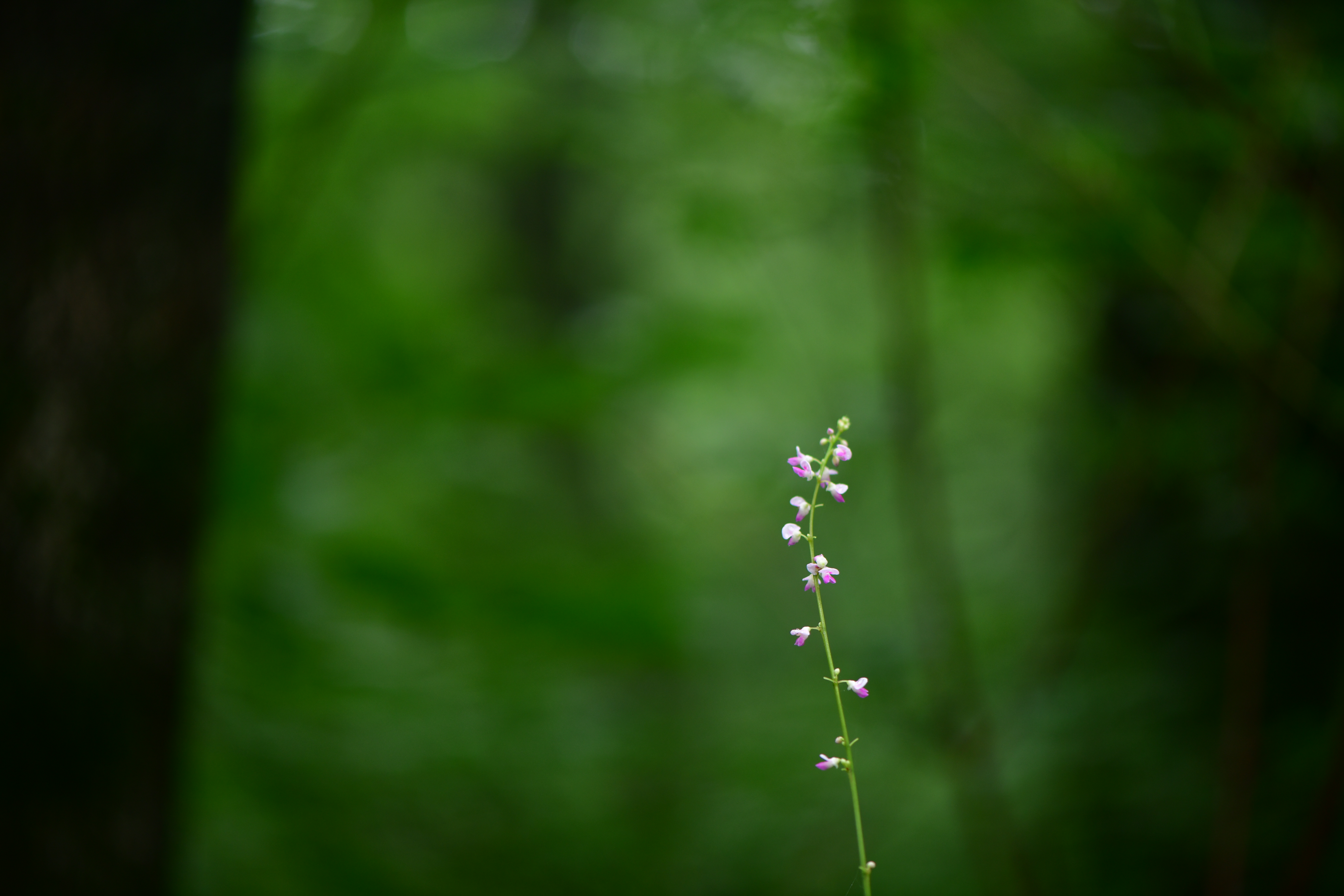 DSC_3793.JPG